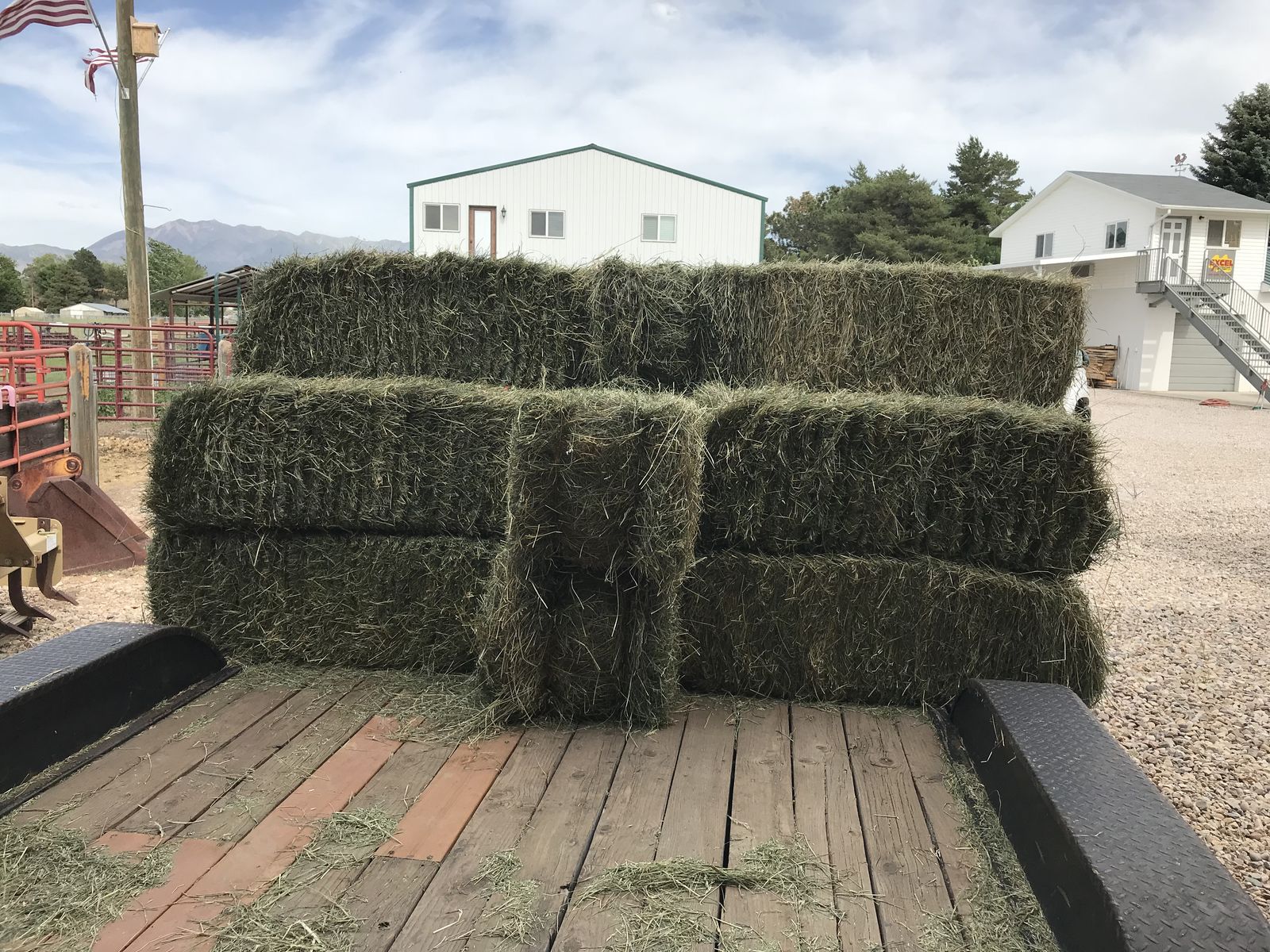 Grass Hay Fescue 60 lb. bales clean