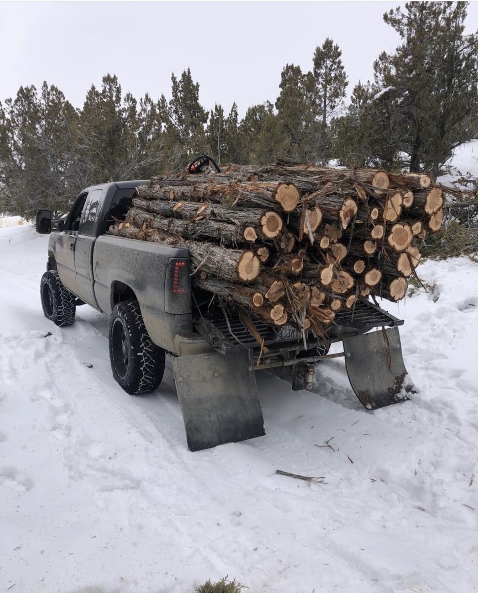 Cedar posts