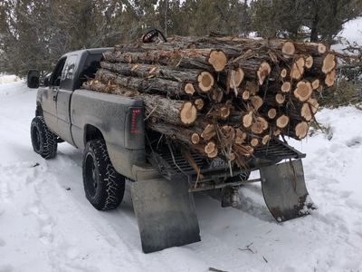 Cedar posts