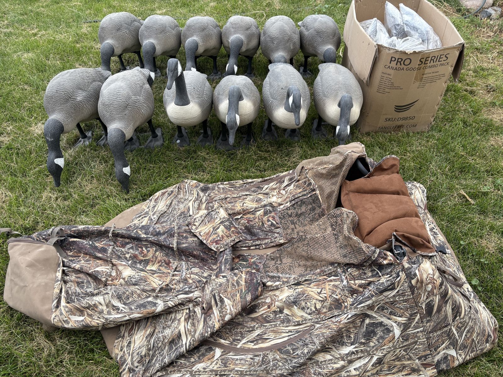 Goose Decoys & Blind