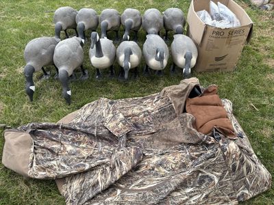 Goose Decoys & Blind