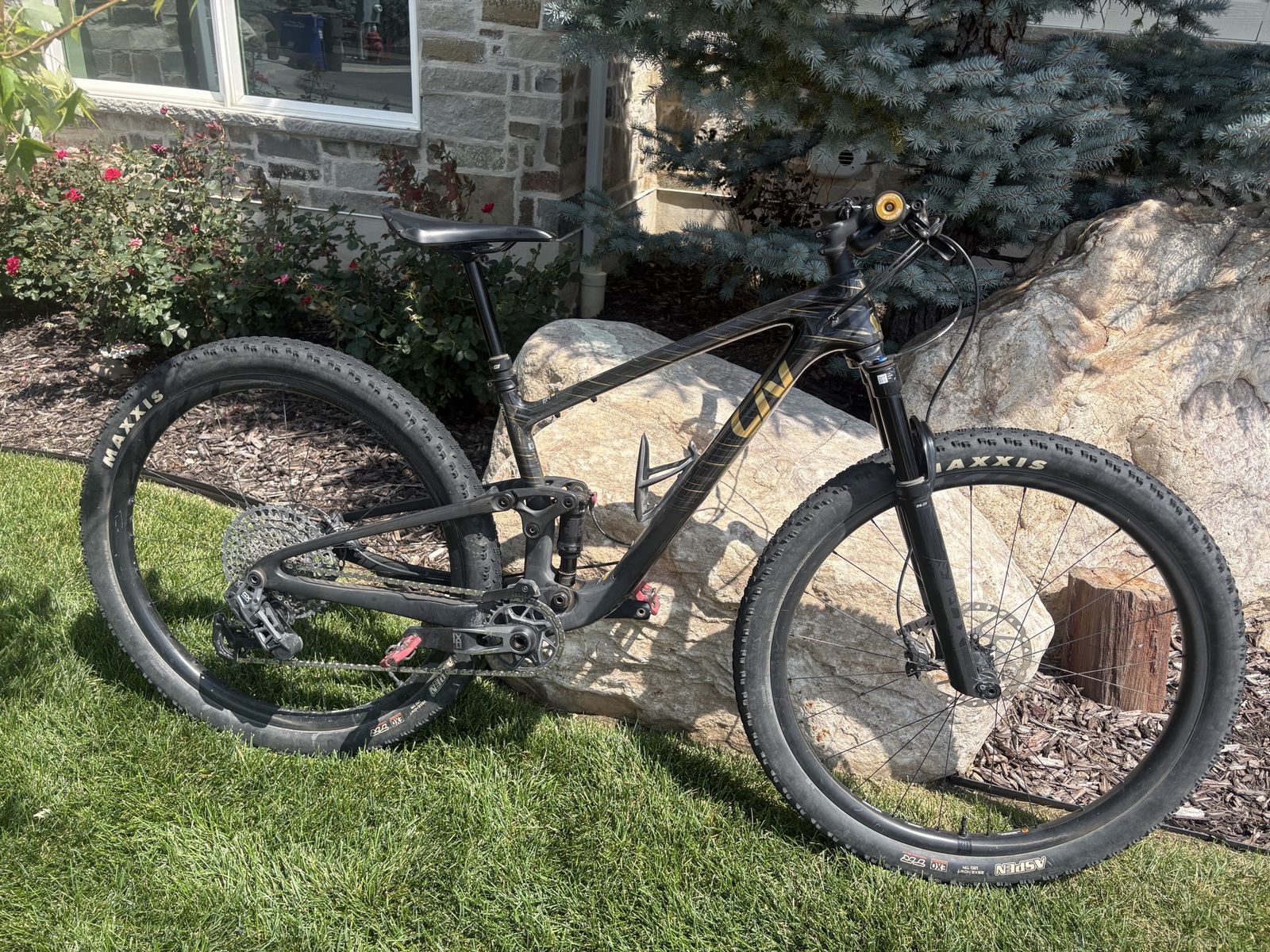 Liv Pique Advanced 29 1 Full Suspension Carbon Frame