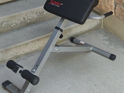Sunny Health & Fitness Roman Chair