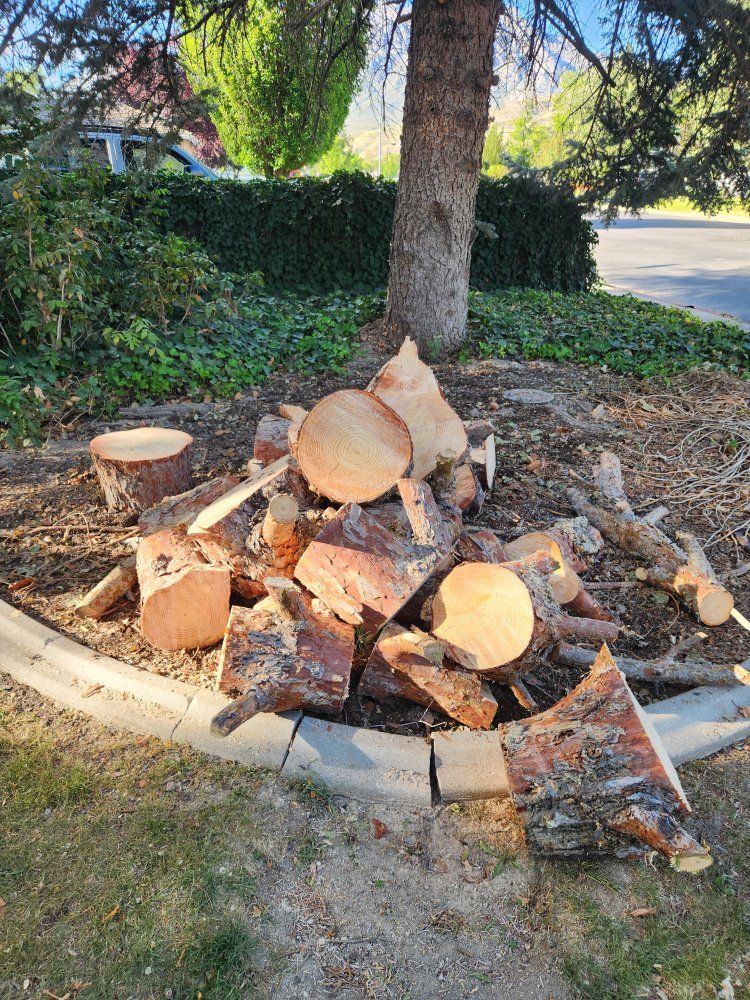 free wood