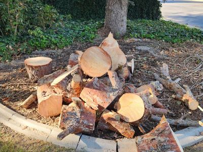 free wood