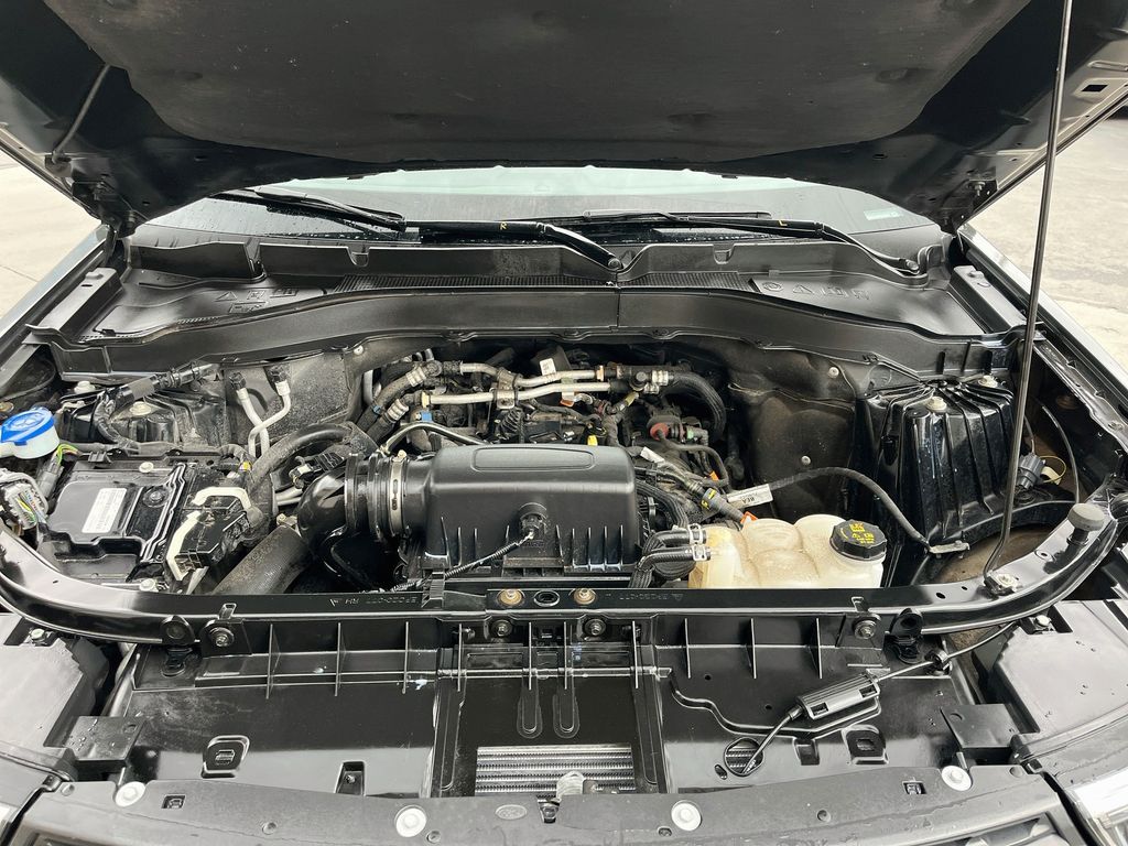 Main image 31