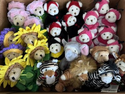 Ganz Wee Bear village