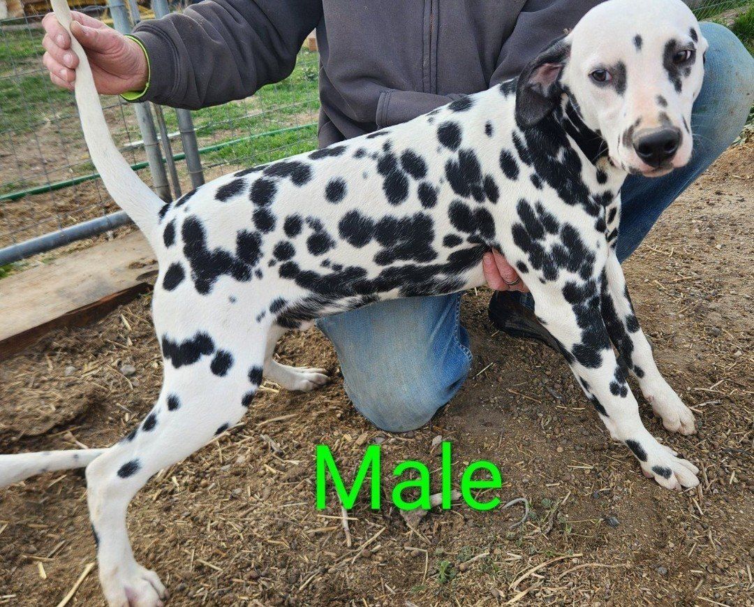Main image 7
