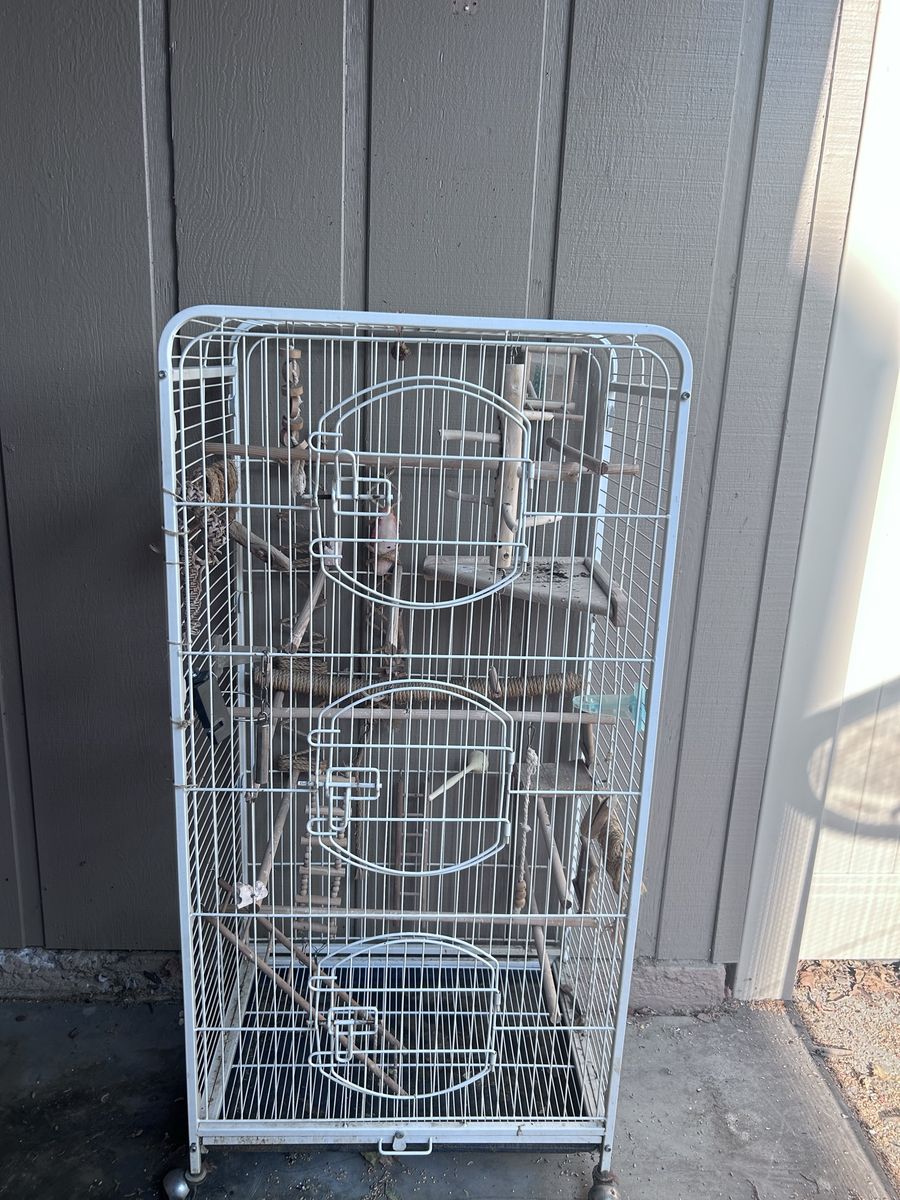 Bird cage