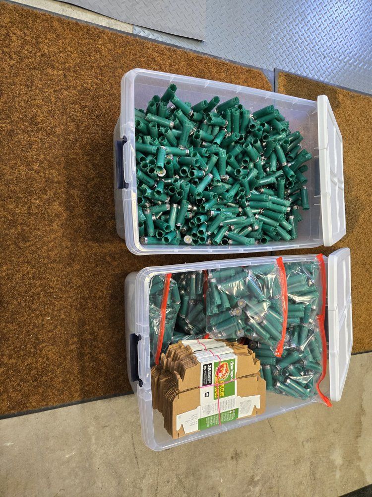 Remington 12ga shells
