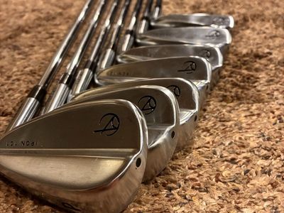 Takomo 101’s /w dynamic gold s300 stiff shafts