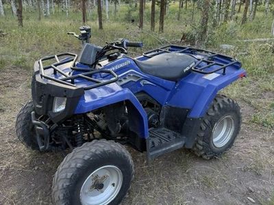 2006 Polaris Sawtooth 200 - Freshly Serviced, Ready to Ride