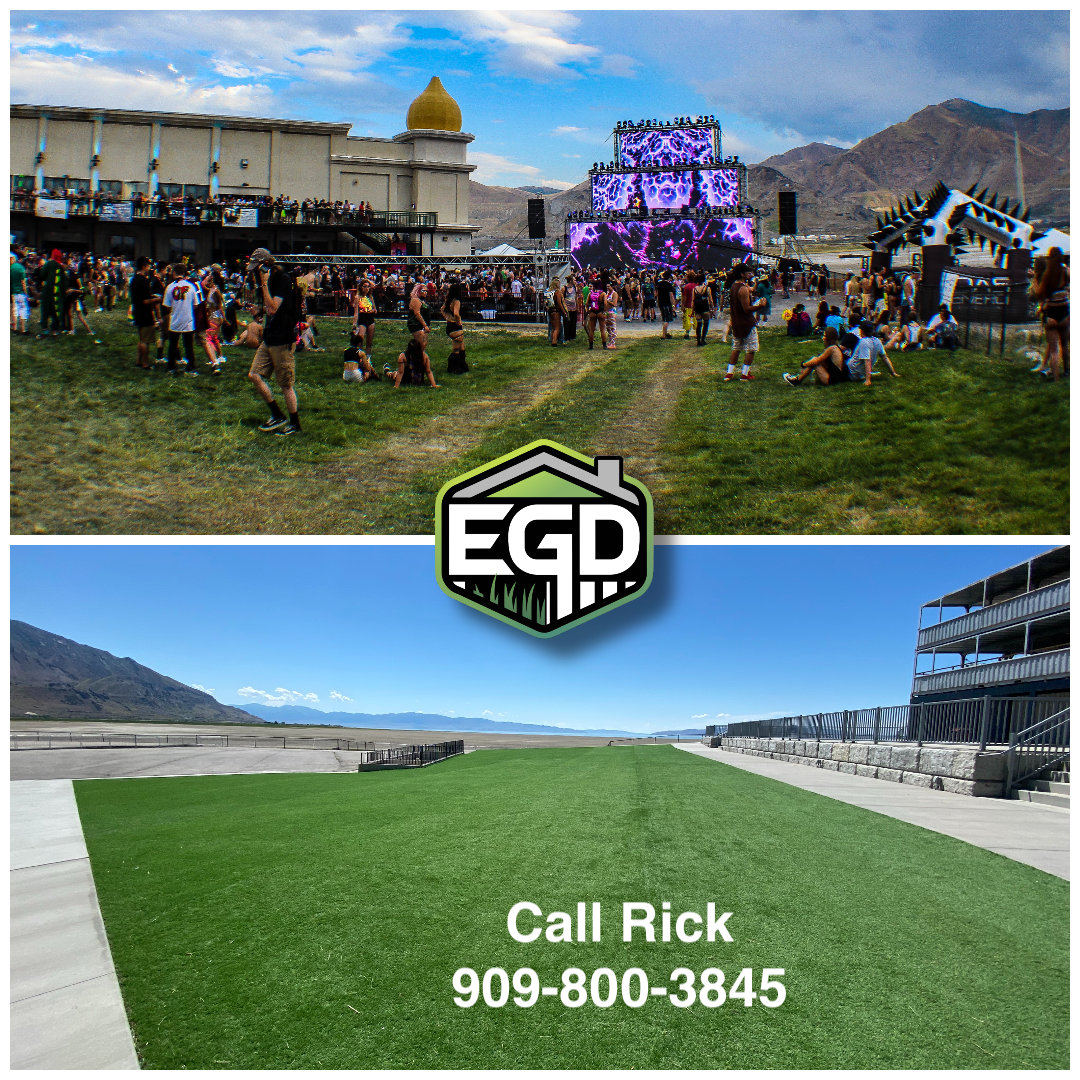 ️ Winter Sale on Beautiful Artificial Turf!