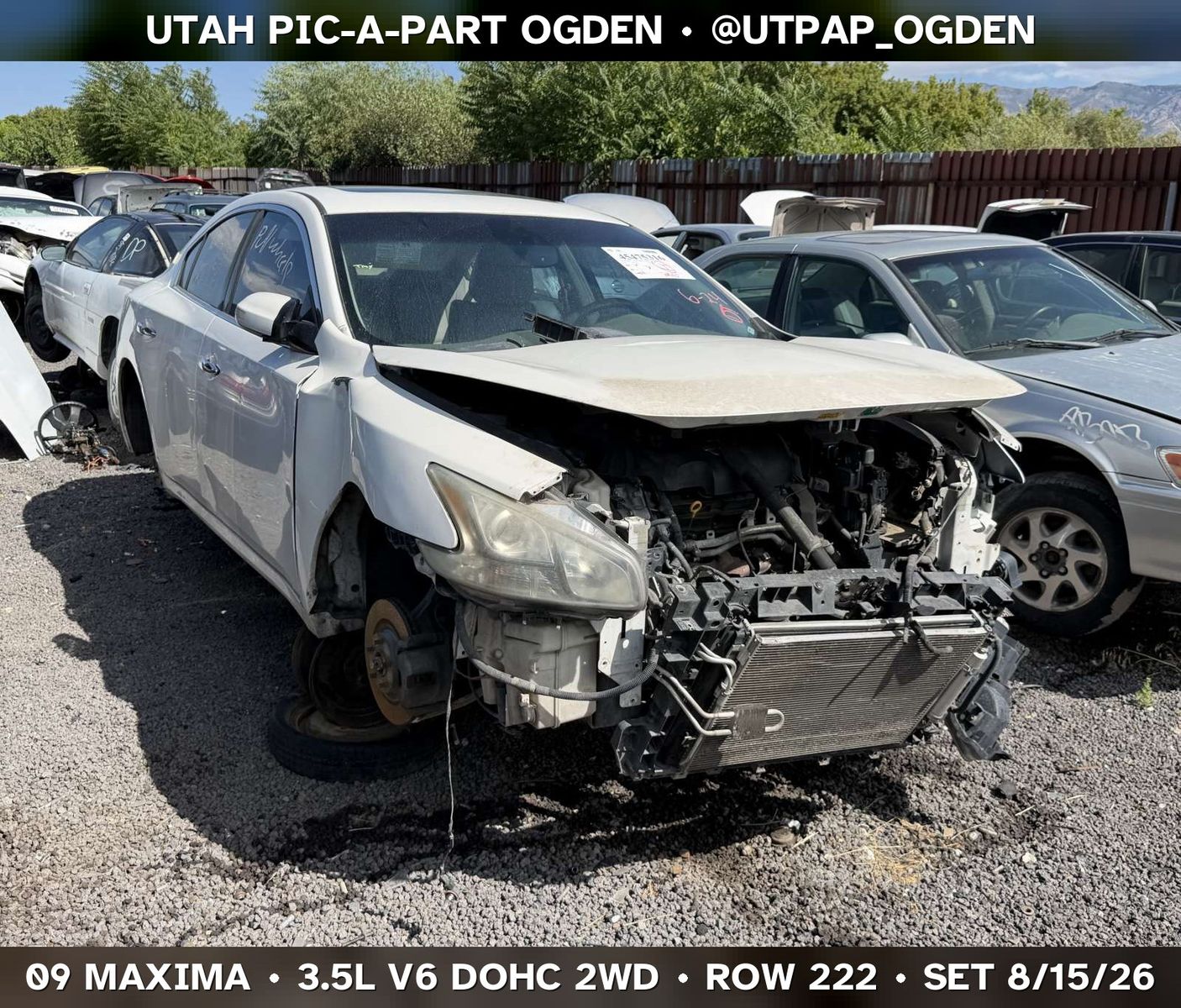 Just In! 2009 Nissan Maxima Parts - UTPAP Ogden