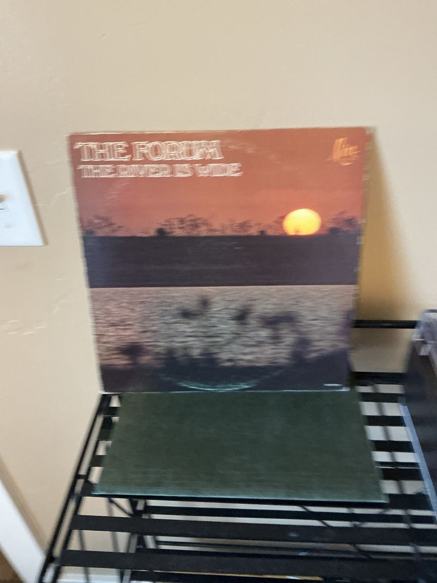 The Forum - The River Is Wide Vinyl LP Record