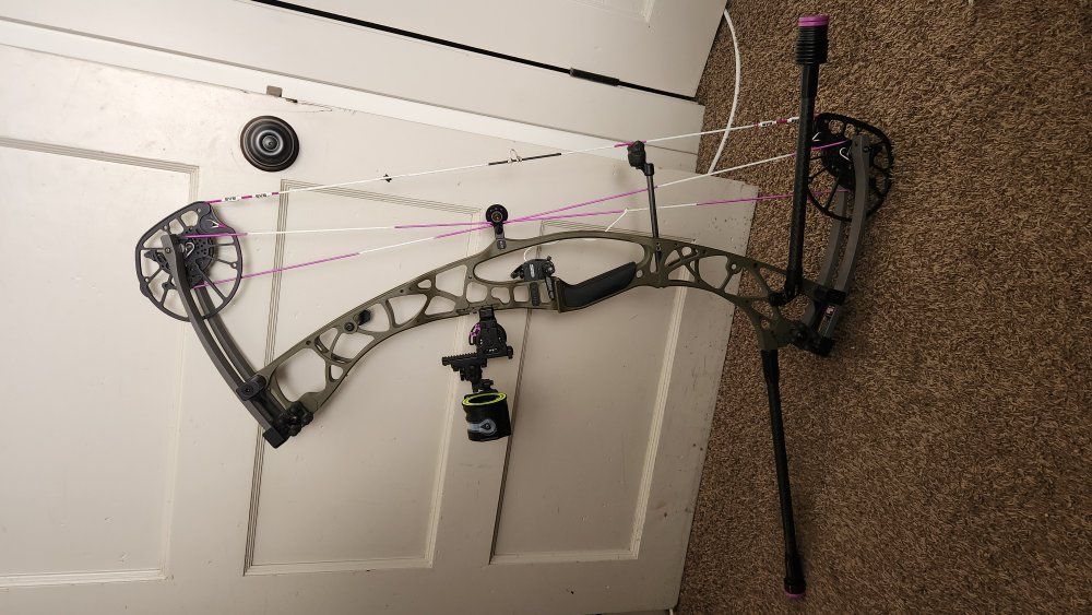 Hoyt Alpha 33 60-70lb