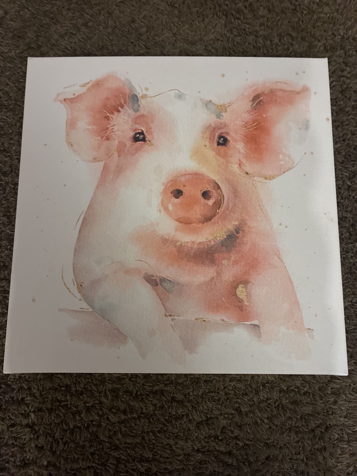 Pig on canvas