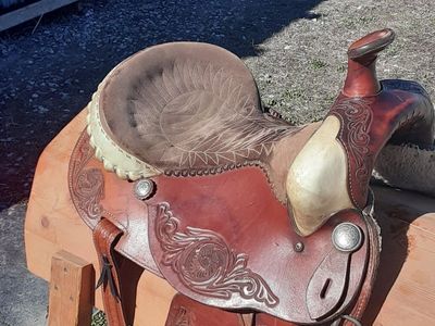 Sweet little Ammerman 15 in