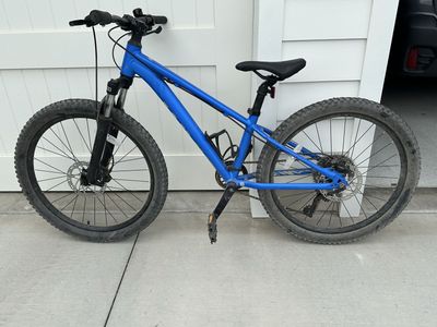 Giant youth mountain bike