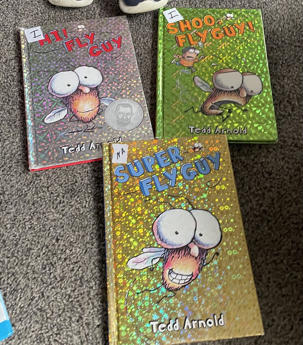 Fly Guy Books