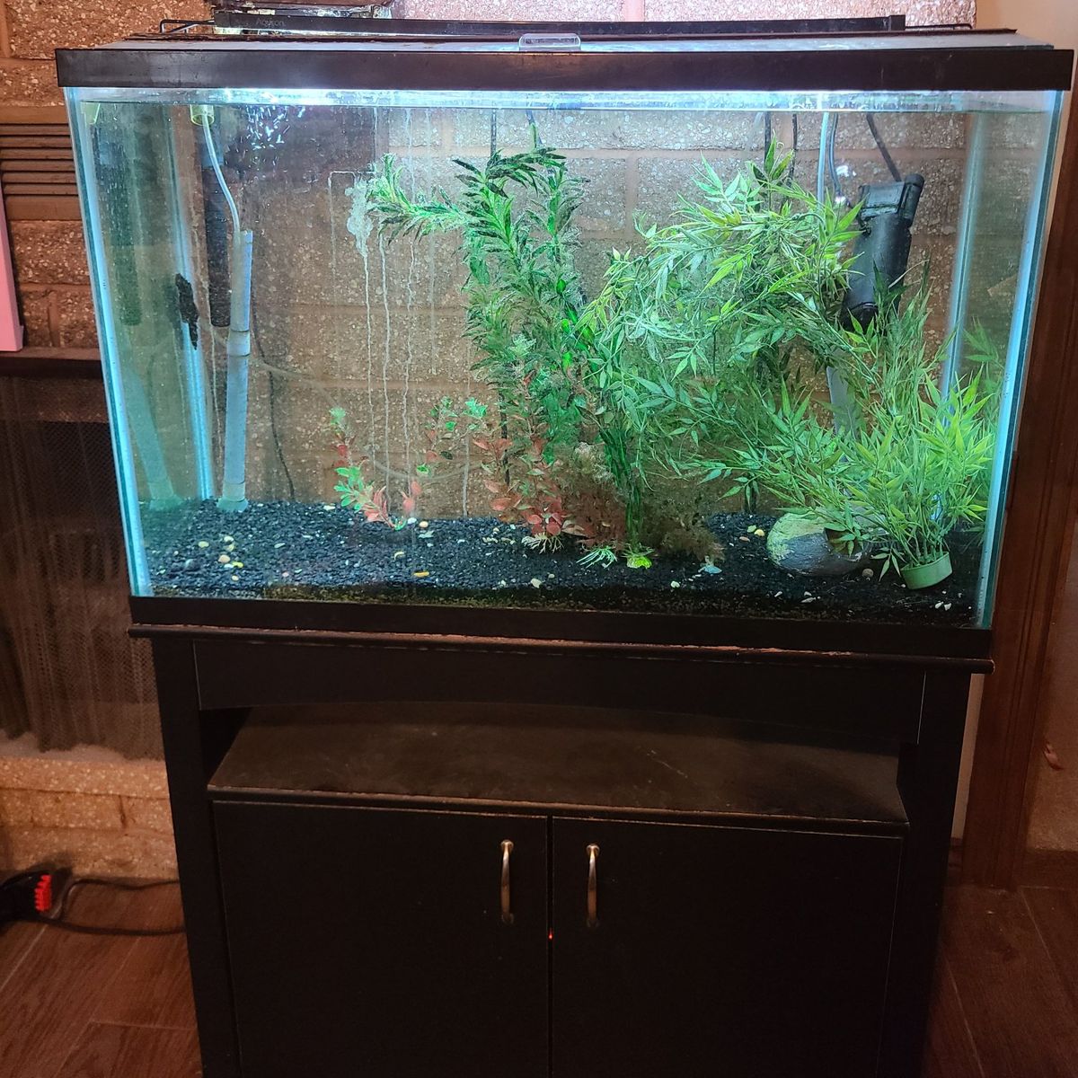 40 Gallon Aquarium and Stand