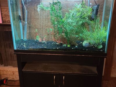 40 Gallon Aquarium and Stand