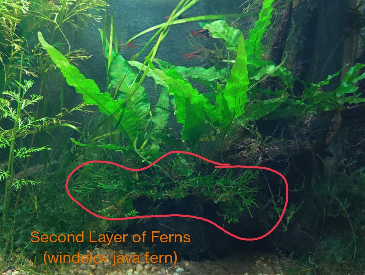 Main image 3