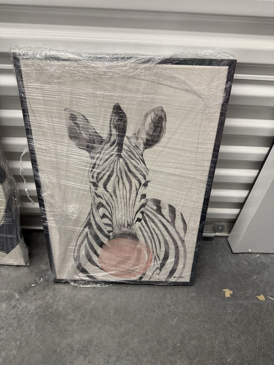 Decorative Framed Art