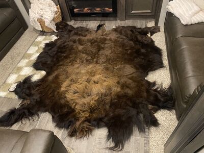 Bison HIde