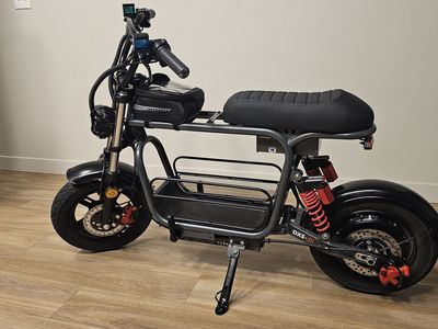iScooter DX5 E-Bike - Powerful Electric Bicycle with Cargo Rack & Large Display