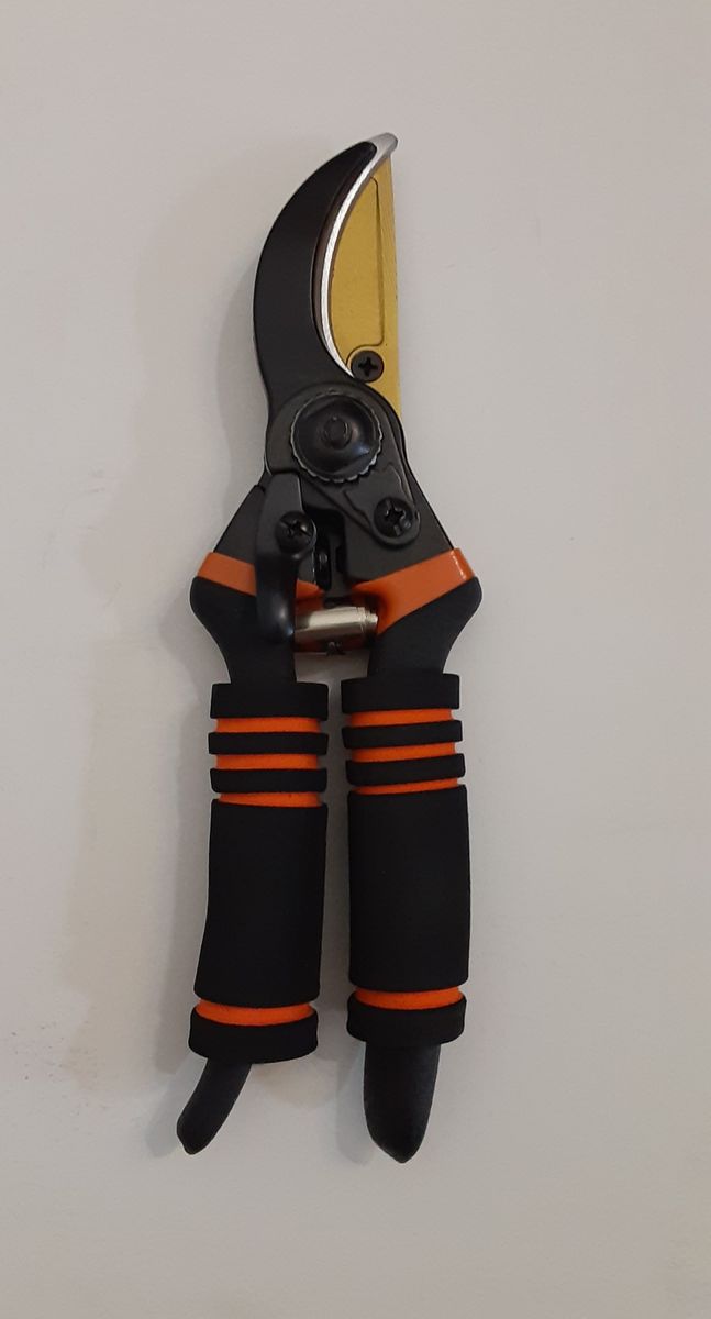 Main image 3