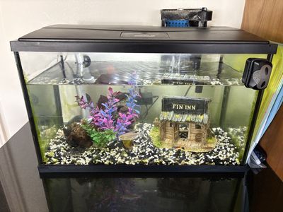 Fish Tank