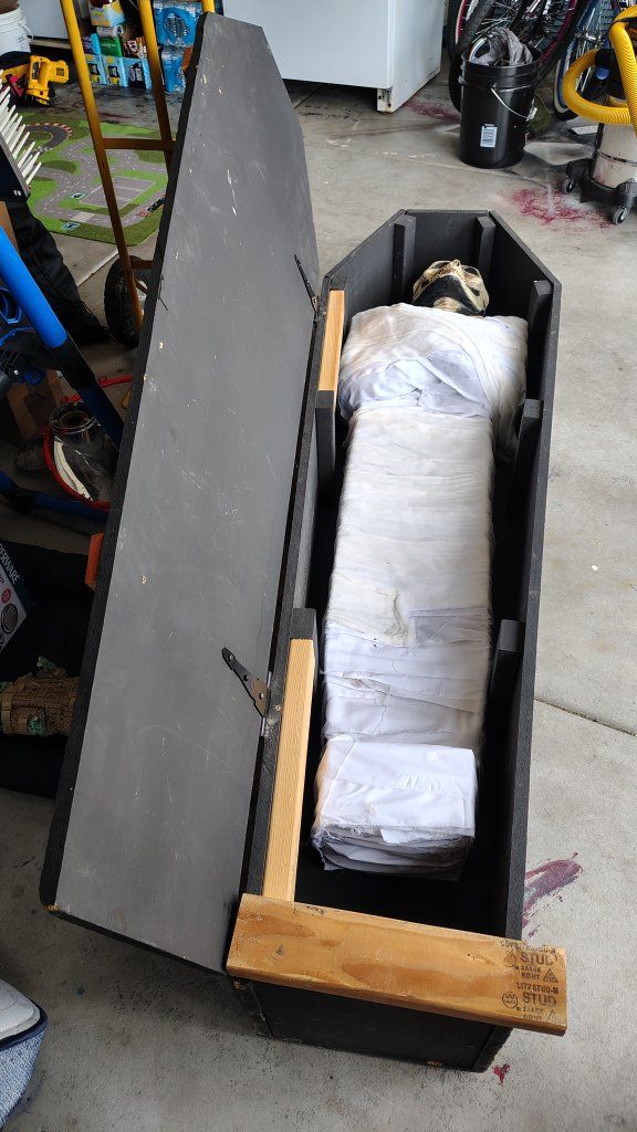 Halloween coffin with mummy