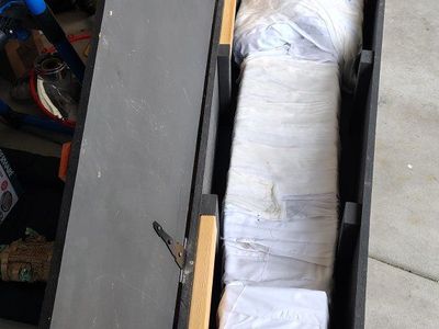 Halloween coffin with mummy