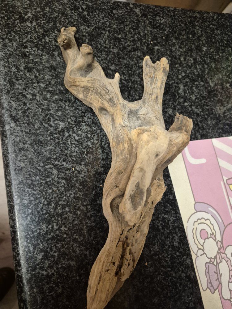 driftwood