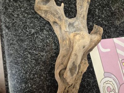 driftwood