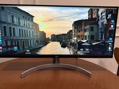 29 Inch UltraWide Monitor - LG 29WN600-W