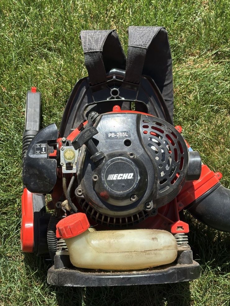 Echo Leaf Blower