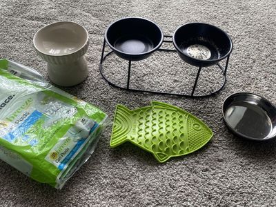 FREE Cat bowls and pee pads