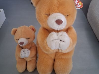 1999 TY Beanie Buddy Hope set