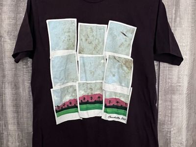 Vintage Coachella 2011 Music Festival Graphic T-Shirt Dark Brown, Medium