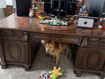 Executive desk
