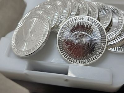 Silver - 500oz Australian Kangaroo Coins