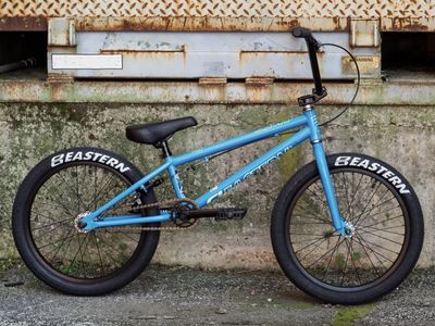 Cobra 20” BMX Bike