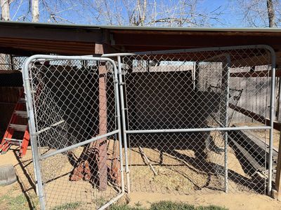 Dog kennel
