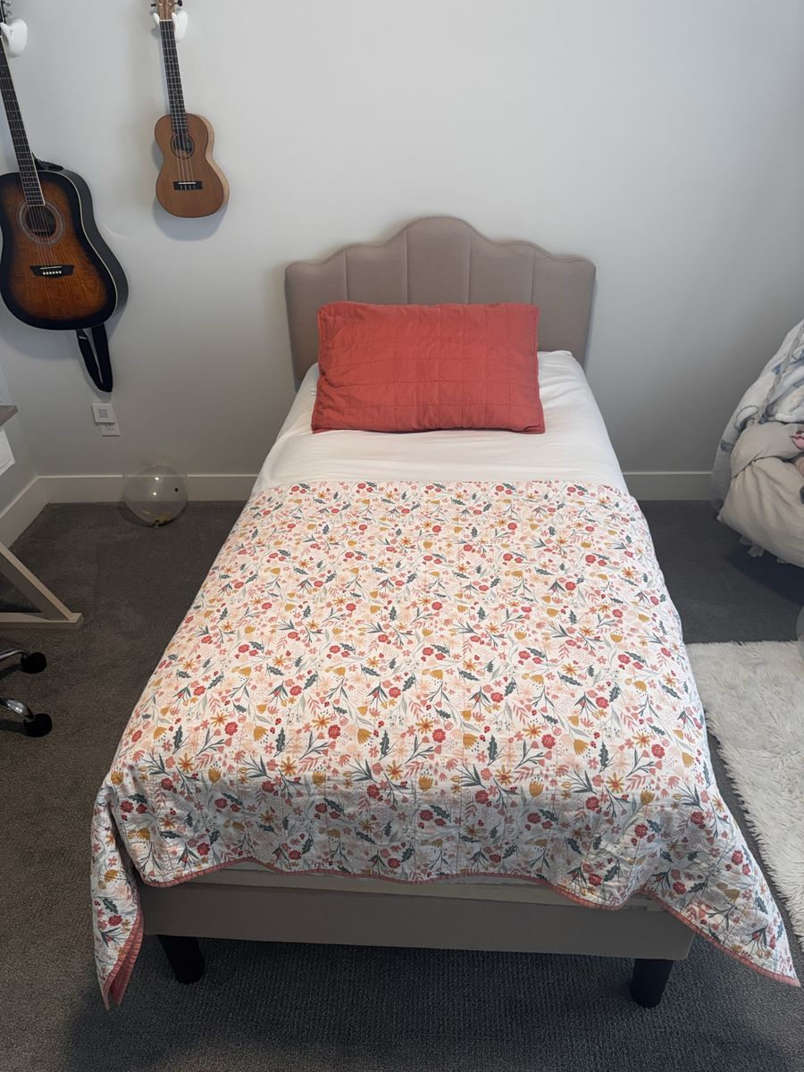 Twin bed frame and mattress