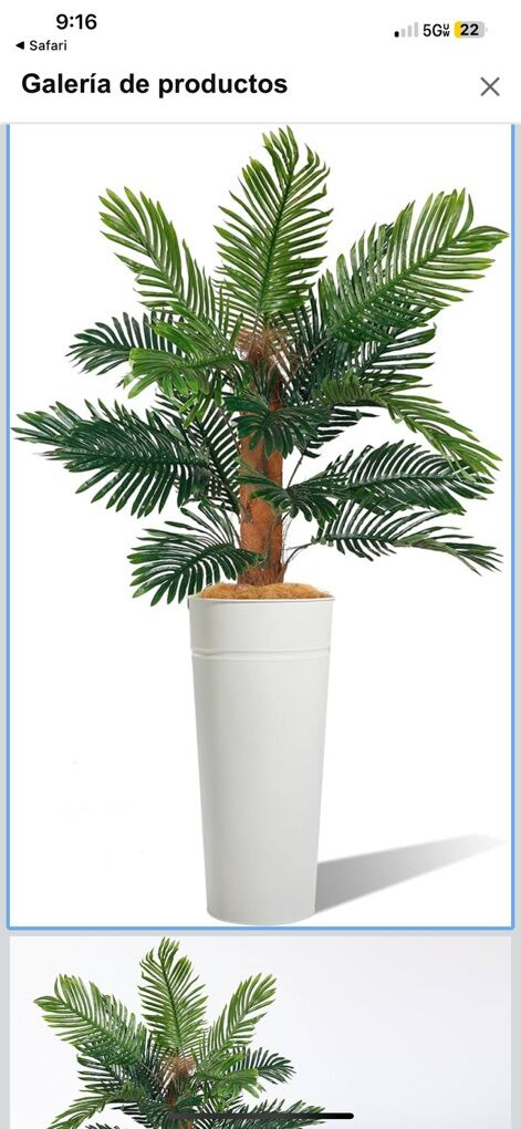 BRAND NEW - 6' PALM TREE