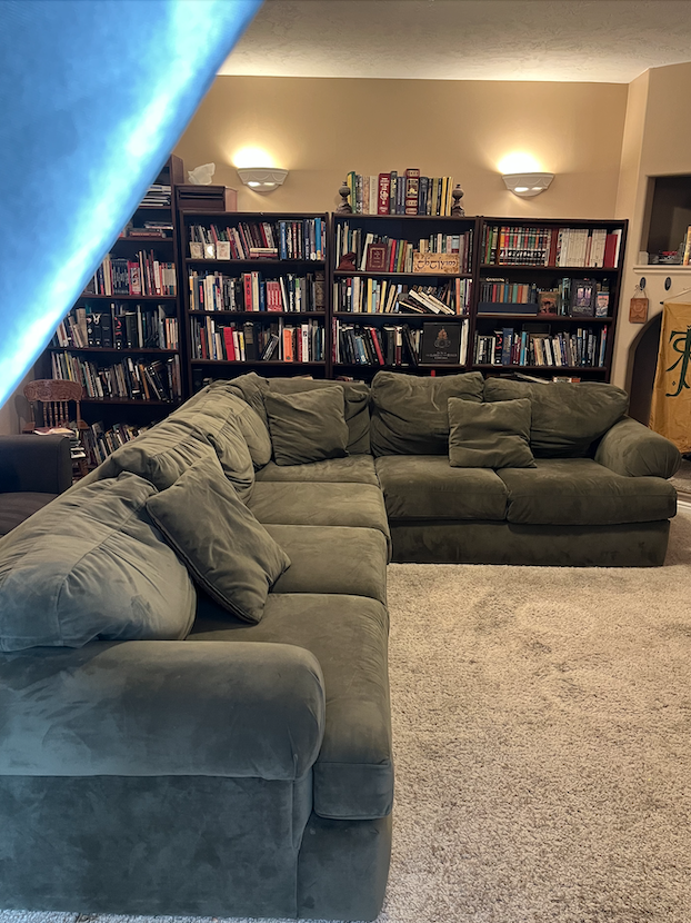 Large Comfy Couch - Earthy Green