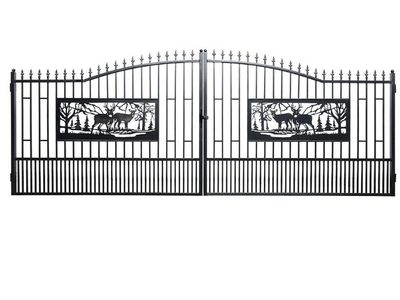 Iron Gate