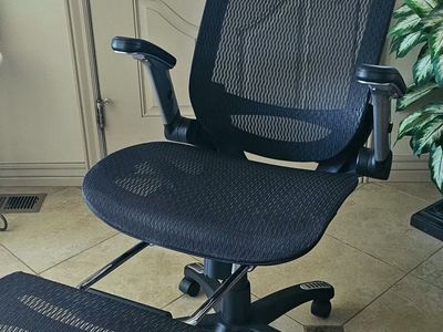 Ergonomic Office Chair with 3D Armrest, 2-Gear Footrest, 3-Gear Recline, Mesh, Lumbar Support